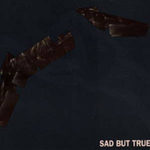 Metallica - Sad but True (1993)