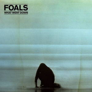 Foals What - Went Down (2015)