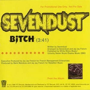 Sevendust  Bitch (1998)