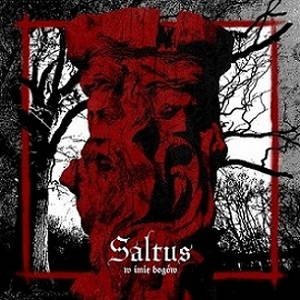 Saltus - W imię bogów (2015)