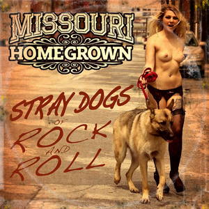 Missouri Homegrown - Stray Dogs Of Rock And Roll (2015)
