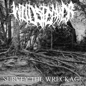 Wildspeaker - Survey The Wreckage (2015)