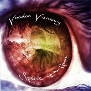 Voodoo Visionary - Spirit Of The Groove (2015)