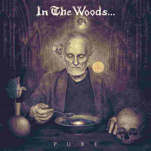 In the Woods... - Pure (2016)