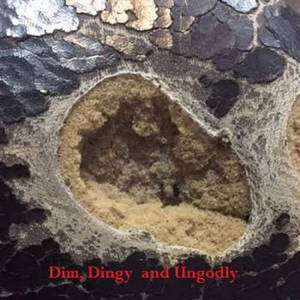 Dim, Dingy And Ungodly - Dim, Dingy And Ungodly (2016)