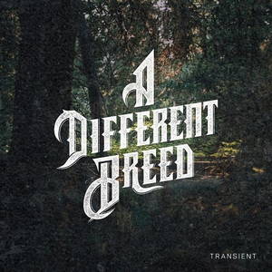 A Different Breed - Transient (2016)