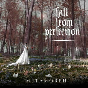 Fall from Perfection - Metamorph (2016)