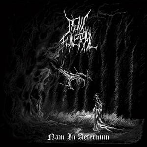 Pagan Funeral - Nam in Aeternum (2016)