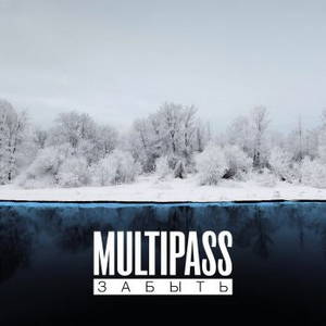 Multipass -  (2016)