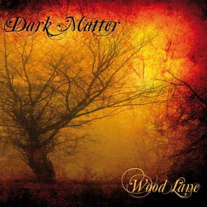 Dark Matter - Wood Lane (2017)