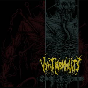 Vomit Remnants - Collecting the Remnants (2017)