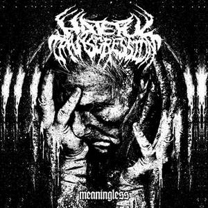 Hateful Transgression - Meaningless (2017)