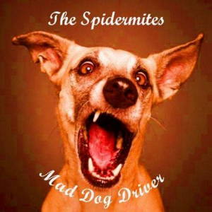 The Spidermites - Mad Dog Driver (2017)