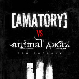[Amatory] / Animal Z -   (2012)