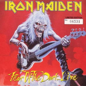 Iron Maiden - Fear of the Dark Live (1993)