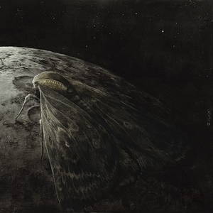Augrimmer - Moth and the Moon (2016)