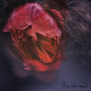 Panjabys - Randomood (2015)