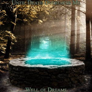 Until Death Overtakes Me - Well of Dreams (2016)