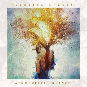 Flawless Shades - Atmospheric Nuance (2016)