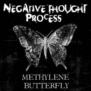 Negative Thought Process - Methylene Butterfly (2016)