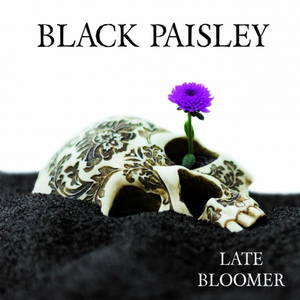 Black Paisley - Late Bloomer (2017)