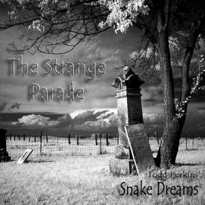 Todd Perkins' Snake Dreams - The Strange Parade (2017)