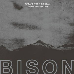 Bison B.C. - You Are Not the Ocean You Are the Patient (2017)