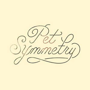 Pet Symmetry - Vision (2017)