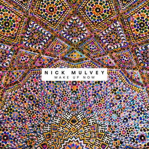 Nick Mulvey - Wake Up Now (2017)