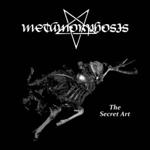 Metamorphosis - The Secret Art (2017)