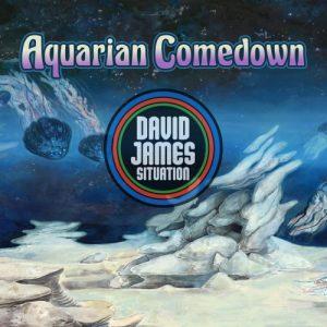 David James Situation - Aquarian Comedown (2017)