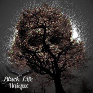 Black Life Unique - Down With Me (2017)