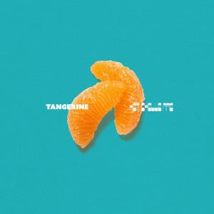 Hot Chelle Rae - Tangerine